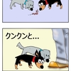 【犬漫画】自宅警備隊は臭いを嗅いでパトロール