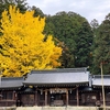 飛騨の紅葉は目が忙しいんだな