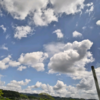 ブログ開始から４８２週　🕊️🍀