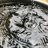 融雪の音と姿