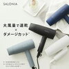 【公式店】 SALONIA ドライヤー サロニア スピーディーイオンドライヤー