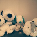 yoshimasa7770’s blog
