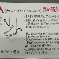 暗殺する モードリン 反発する 野球 ノート 見本 ライム 一掃する 蜜