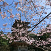 ２０２４／０３／３１　と　０４／０１　京都