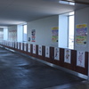 とうぶフレンズに会いに行ったのだ！（その３）