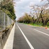 宴のあとのような公園