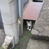 気持ちの 真ん中を、意識する