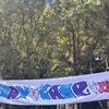 BAYCAMP2024（2日目）