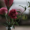 御中とCarl Zeiss Jena Flektogon 35mm F2.4
