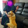 まゆママさんが遊びにきてくれました