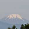 ひさしぶりの富士山と季節の移り変わり