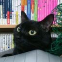 いい夢みてね