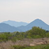 日野川河口　春の風景その１