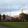 夜桜見物に行く