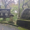 徳島県、雨のなか「阿波の土柱、上桜城、大塚国際美術館」