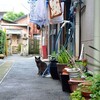 猫路地の秘密