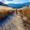 1年中楽しめる！箱根絶景🍁写真の旅〜２泊３日〜