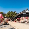 桜・2025「高知城」 2025.4.6