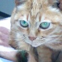 お花ときみちゃんの奮闘日記