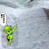 長良川サツキマスが飛ぶ