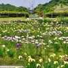 藤山公園・しょうぶ園 