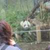 外付けハードディスクをいじっていたら2011年に上野動物園に行った時の写真を発見