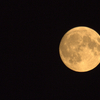 HarvestMoon リリースのお知らせ