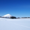 これが冬の北海道だ！雪と闘うリアルな日常【自然・気候・体験談】