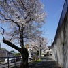2025/04/05 府中・北府中散歩 02 清水下小路/南武線橋梁/坪宮/御殿下公園/神社/御殿稲荷神社/ちはやふるデザインマンホール/鳥
