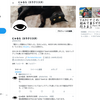 4月の振り返り（4月30日まで）