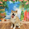 ★夏鈴ちゃん★