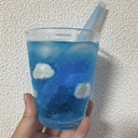 ズボラ主婦のクレカ沼脱出記録。