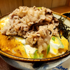 【新店】カレーうどん大庵＠柳橋中央市場マルナカ食品センターでカツ丼 牛肉増し