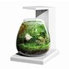 【体験談】もうコードでゴチャつかない！GEX グラスアクア PERCO T-WHで始める「見せる」アクアリウムの秘密