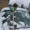 雪不足あれこれ