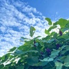 季節の移り変わりのお話。