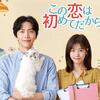 韓流ドラマにハマった話。