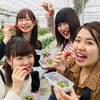 完熟いちご🍓狩り情報3月31日(日)開園日です‼️💕✨🧚‍♀️