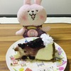 久々に濃厚なチーズケーキを食べたい！と思ってセブのブルーベリーチーズケーキを買ってみたら・・・