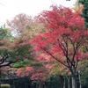 子連れでお出かけ。2018年紅葉狩り「埼玉県新座市　平林寺」へ行きました。