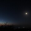 今朝の月