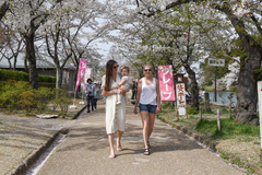 上越市高田で今年初の夏日に　6月中旬並みの25.6度