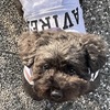 クン活するエイト。