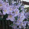 もう７月なのに