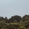 今朝の景色
