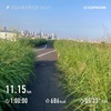 様子見ジョグ