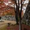 津和野城跡の紅葉を見に行ってきた。