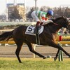 トゥザクラウン快勝（一口25勝目）