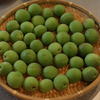 梅、蕎麦、鯵