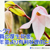 厚生年金＝損じゃない？構造から読み解く会社員の年金制度